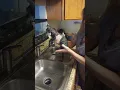 ZAO s first bath