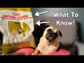 Royal Canin Adult Dog Food Review Tailor-Made For Your Pug
