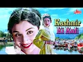 Download Lagu Kashmir Ki Kali (1964) - 60s Ki Superhit Romantic Hindi Movie | Shammi Kapoor, Sharmila Tagore, Pran