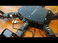 How a Six-Legged Robot Walk - with LX-16A Servo Motor and RaspberryPI