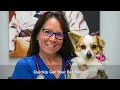 East Hill Animal Hospital New Building 2024