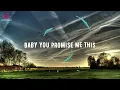 Hermitude - Promises feat. Andie (Lyrics Video)