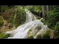 Cascading Dreams: 1 Hour of Relaxing Waterfall Sounds to Drift into Serene Sleep