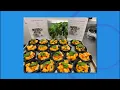 Charleston County School District What s For Lunch FOX 24 News Now