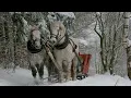 Download Lagu Stefan Hrusca  | Colaj colinde , Christmas Music , Cantece de craciun