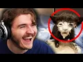 Ranking Your UNHINGED Tiktoks