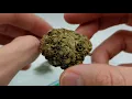 Mail Box Marijuana Unboxing - The Forest