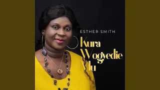 awieye