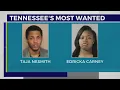 TN Most Wanted Brentwood