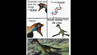 Genetic algorithms the tidy way and software development - Part 2