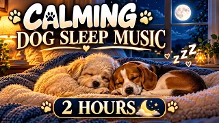 2 Hours of Calming Music for Dogs 🐾 | Sleep, Relax & Ease Anxiety