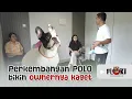Download Lagu OWNERNYA DATANG KE FLOKI PET CARE BUAT LIAT PERKEMBANGAN POLO