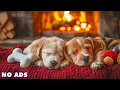 Download Lagu DOG MUSIC🌈🌟Sleeping Music for Dog to Sleep🐕‍🦺Calming Dog Music for Anxiety❤️Separation Anxiety Music
