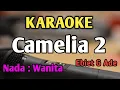 Download Lagu CAMELIA 2 - KARAOKE || NADA WANITA || Ebiet G Ade || Audio HQ || Live Keyboard