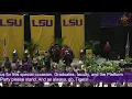 LSU College of Human Sciences Education Commencement Fall 2024