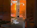 CLOSE Lightning Strike Ignites Tree