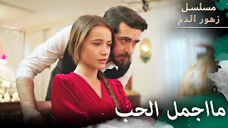 الليلة انتهت بشكل جميل مسلسل زهور الدم مدبلج بالعربية Kan Çiçekleri 