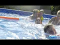 Wouldn t a Pool Be Nice This Summer