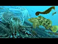 Phát Hiện Bầy Mực Nang Cá Mú Cá Ngựa Lặn Biển Ở Độ Sâu 20 Mét | P 827