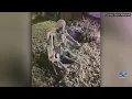 Portsmouth resident looking for new drinking buddy after decorative skeleton is stolen from front