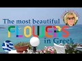 Download Lagu The most beautiful flowers in Greek