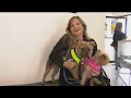 Beyond the Border Americans save money on pet care in Tijuana