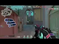 PEARL 1 v4