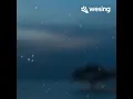 黎瑞恩～多情