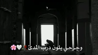 لك الحمد اني حزين حزين اجمل حالات واتس اب اسلامية جهادية حزينة تلاوات ملتحي ومنقبة ستوري انستقرام 