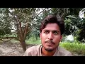 Download Lagu Do Kinaray Episode 54 | Do Kinaray Episode 54 August 22st - 2025 | Pakistan Drama | Green TV