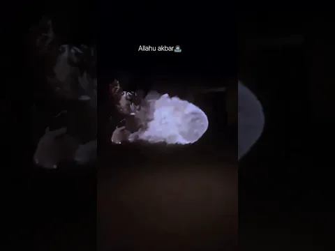আগুনের বল রুপি জ্বিন কিভাবে চলচল করে দেখুন।#jinn #ghost #fire #shorts