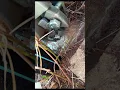Download Lagu PVC is not the right material for irrigation pipelines and fittings in Bulgaria