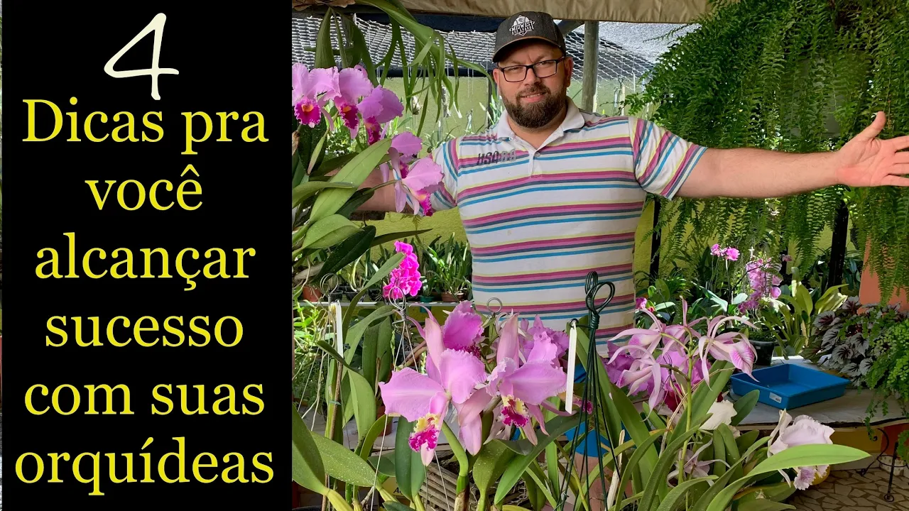 4 REGRAS PARA TER SUCESSO COM AS ORQUÍDEAS!!