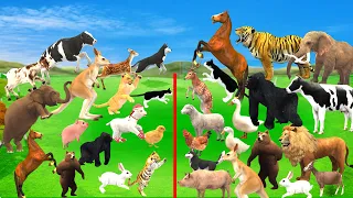 Animal Babies Revealed & Their Names 🐾 | Cute Offspring & Gestation Facts