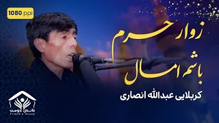 کرم کن حسین جان بر من  زوار حرم باشم امسال   عبدالله انصاری دندنها