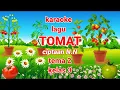 Download Lagu Karaoke lagu Buah TOMAT ciptaan N.N