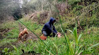 Download Hiking in the Carpathians for mushrooms in the middle of April:The magical spring nature MP3