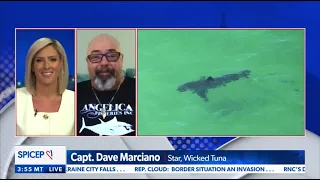 CAPTAIN DAVE MARCIANO ON HOW TO DEAL WITH SHARK ATTACKS JULY 4 2022
