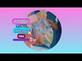 Download Lagu Jeda Iklan RCTI HD pada saat Silet (21 September 2024, 09:55 WIB)