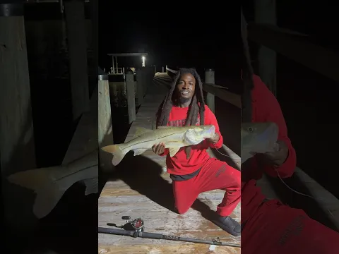 BIG FISH ATE MY BAIT 😳🎣.. #fishing #fishingvideo #shorts
