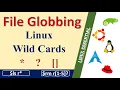 Master Linux Wildcards Uncover the Secret of File Globbing in Linux