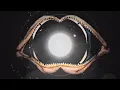 Melt by @LeftfieldMusic  visuals