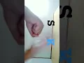 Download Lagu itu s itu adalah sasa k itu kenzie