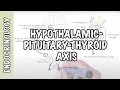 Hypothalamic Pituitary Thyroid Axis regulation TRH TSH thyroid hormones T3 and T4