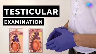 testicular examination osce guide ukmla cpsa plab 2