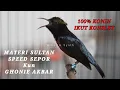 Download Lagu KONIN GACOR ROL TEMBAK MATERI SULTAN !! PAS BUAT PANCINGAN KOLIBRI NINJA AUTO IKUT KONSLET ❗