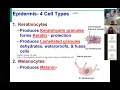 BIOL430 Sum21 Membranes and Integumentary System Lecture 1