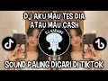 Download Lagu DJ AKU MAU TES DIA ATAU MAU CASH || DJ KASIH ABA ABA VIRAL DI TIKTOK‼️
