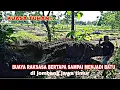 Download Lagu BUAYA BERTAPA RIBUAN TAHUN KINI MENJADI BATU|situs watu bajol sendangrejo, banjardowo