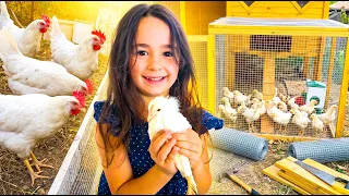 I Built a Secret Extension to Save My Chicks